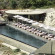 Фото Andronis Concept Wellness Resort