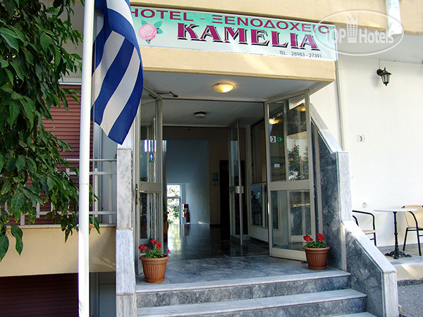 New photos from tourists Camelia Hotel 1*