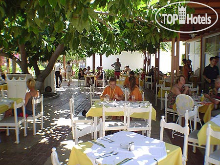 New photos from tourists Sun Palace 4*