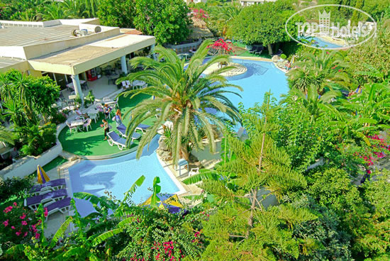 Hotel photo Palm Beach 3*