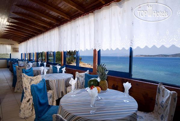 Новые добавленные фото туристов Venus Beach 3*