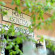 Photos Benitsa Beach Hotel
