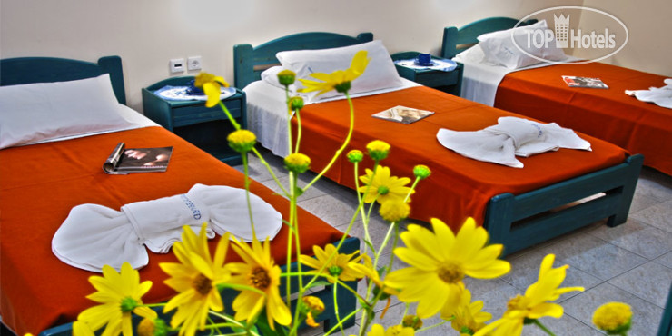 New photos from tourists Grapevines Hotel 3*
