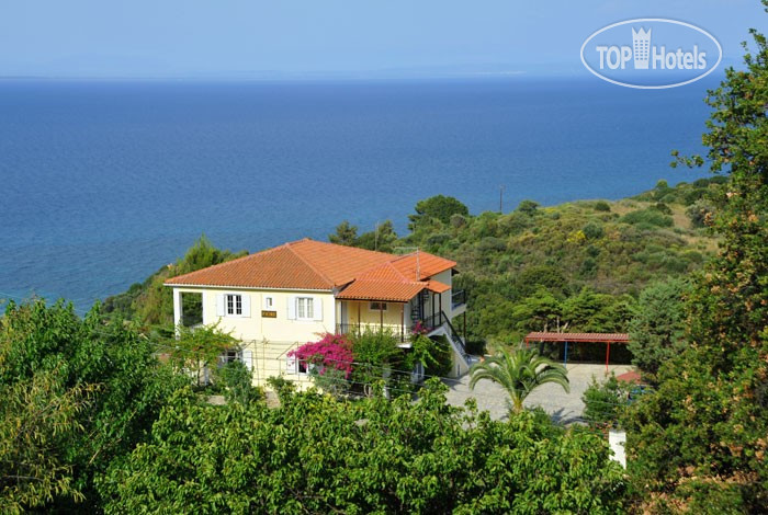 Hotelier's photos Fiore Sea View Studios