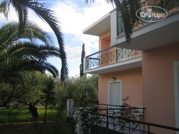 New photos from tourists Villa Olive grove 3*