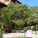 Photos Domenico Hotel