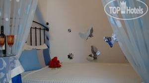 New photos from tourists Veranda View