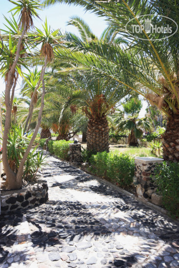 New photos from tourists Strogili 3*