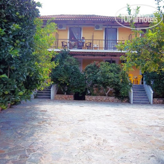 Photos Lemon Studios