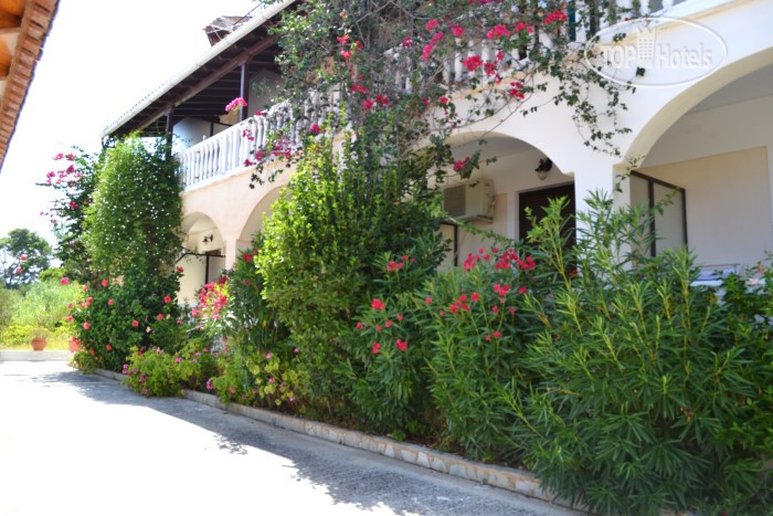 Photos Leonidas Studios