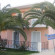 Фото Villa Olive grove