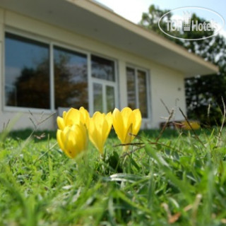 Фото Achillion Hotel