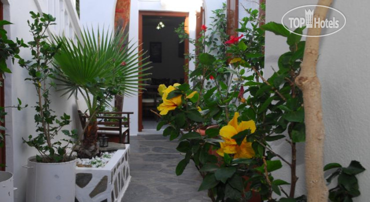 Фото Ibiscus Hotel