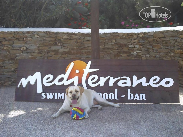 Фотографии отеля  Mediterraneo Hotel 