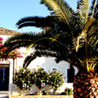 Photos Paradise Studios & Apartments