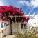 Photos Rhenia Bungalows