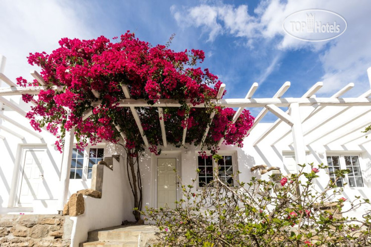 Photos Rhenia Bungalows
