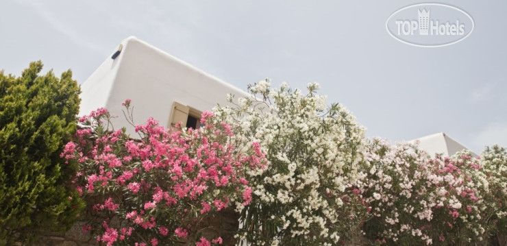 Hotelier's photos Mr & Mrs White Mykonos 4*