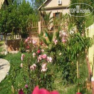 Photos Traditional Villa Therianos