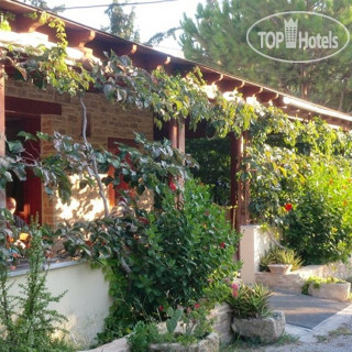 Фото Neos Matala Hotel