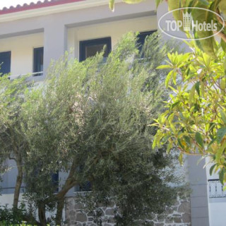 Фото Theodora Hotel