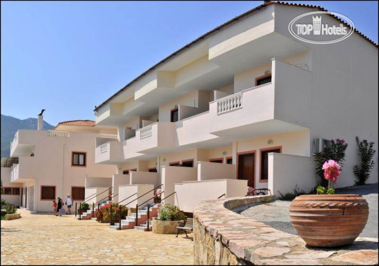 Фото Aristotelis