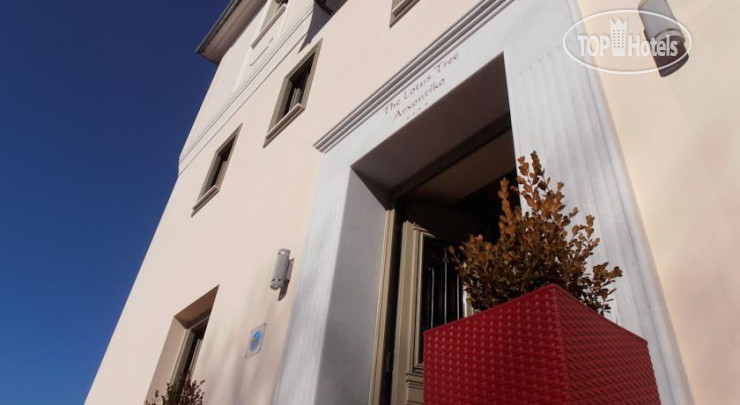 Photos The Lotus Tree Archontiko