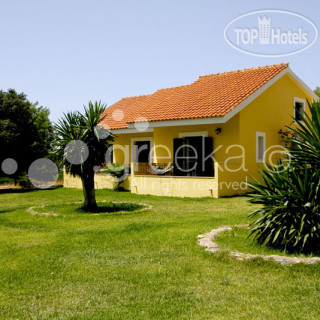 Фото Rodi Studios