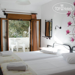 Photos United Europe