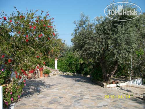 New photos from tourists Noula Villa