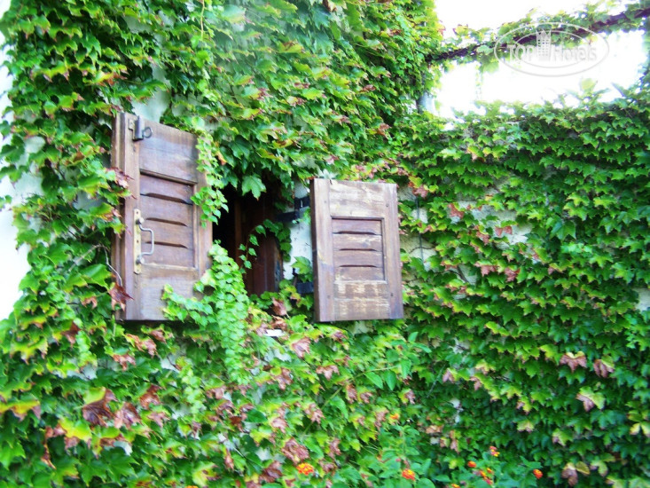 New photos from tourists Anna-Maria Villa