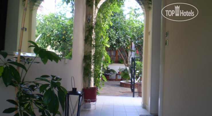 New photos from tourists Nopi Pension