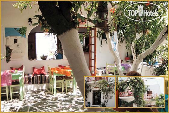 Hotelier's photos Arian 2*