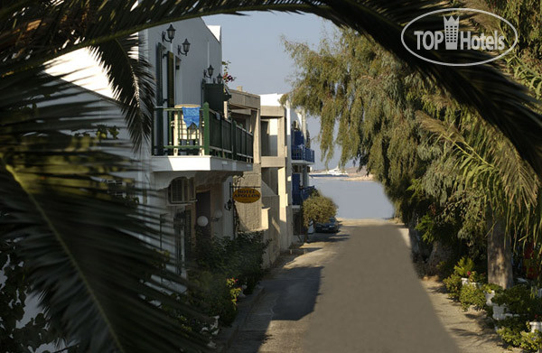 New photos from tourists Apollon 3*