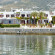 Photos Asterias