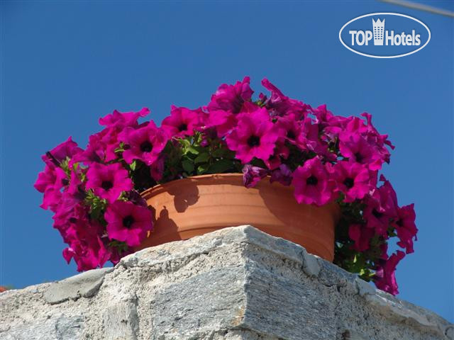 Hotelier's photos San Antonio 3*