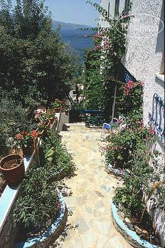 New photos from tourists Panorama 3*