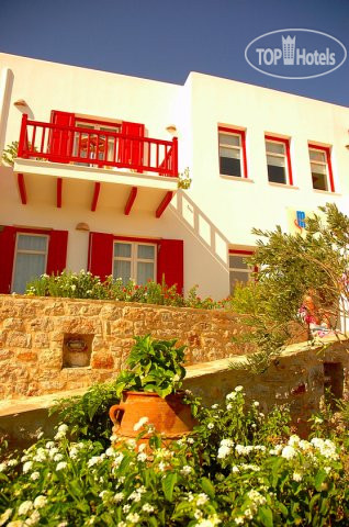 New photos from tourists Stelia Mare 4*