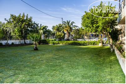 New photos from tourists Olive Grove