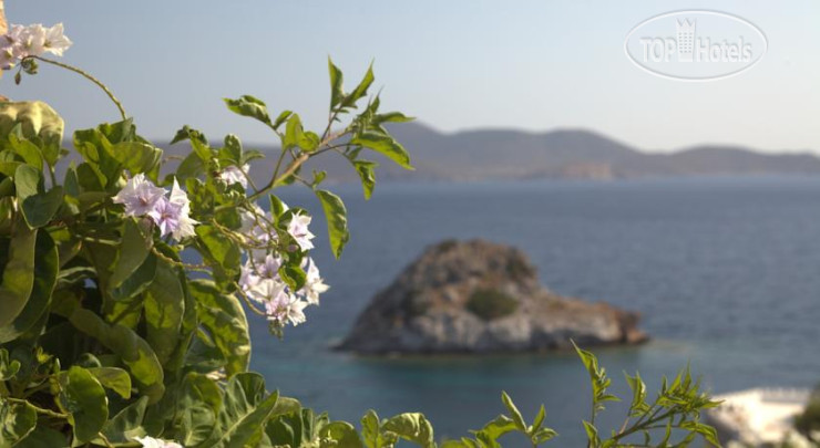 New photos from tourists Traditional Houses Irini