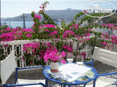 New photos from tourists Australis Hotel 1*