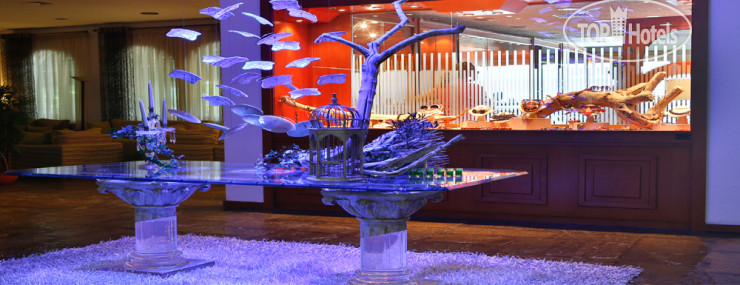 Hotel photo Delphi Beach 3*