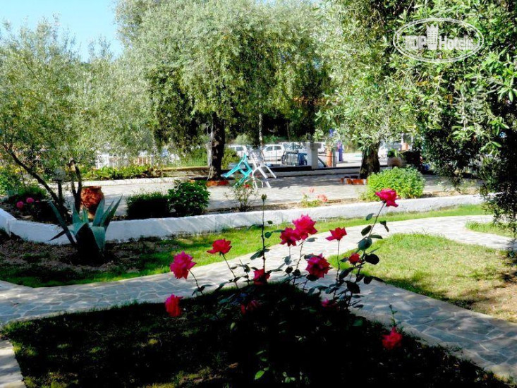 New photos from tourists Asterias Studios