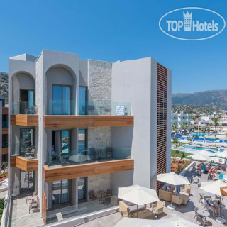 Фото Cactus Mare