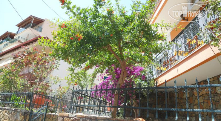 New photos from tourists Olympos Hotel 1*