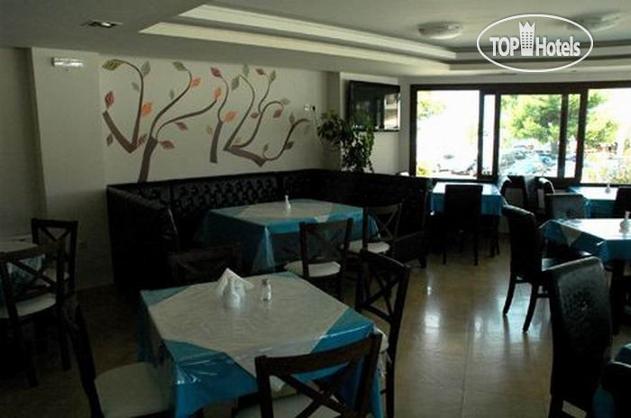 New photos from tourists Toroni Blue Sea 4*