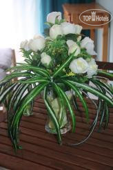 New photos from tourists Giorgos Houses 3*