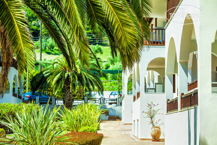 New photos from tourists Xenios Possidi Paradise 4*