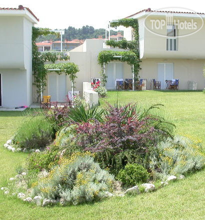 Hotel photo Alkyon 4*