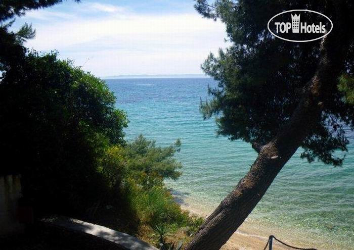 New photos from tourists Villa Daphne 4*
